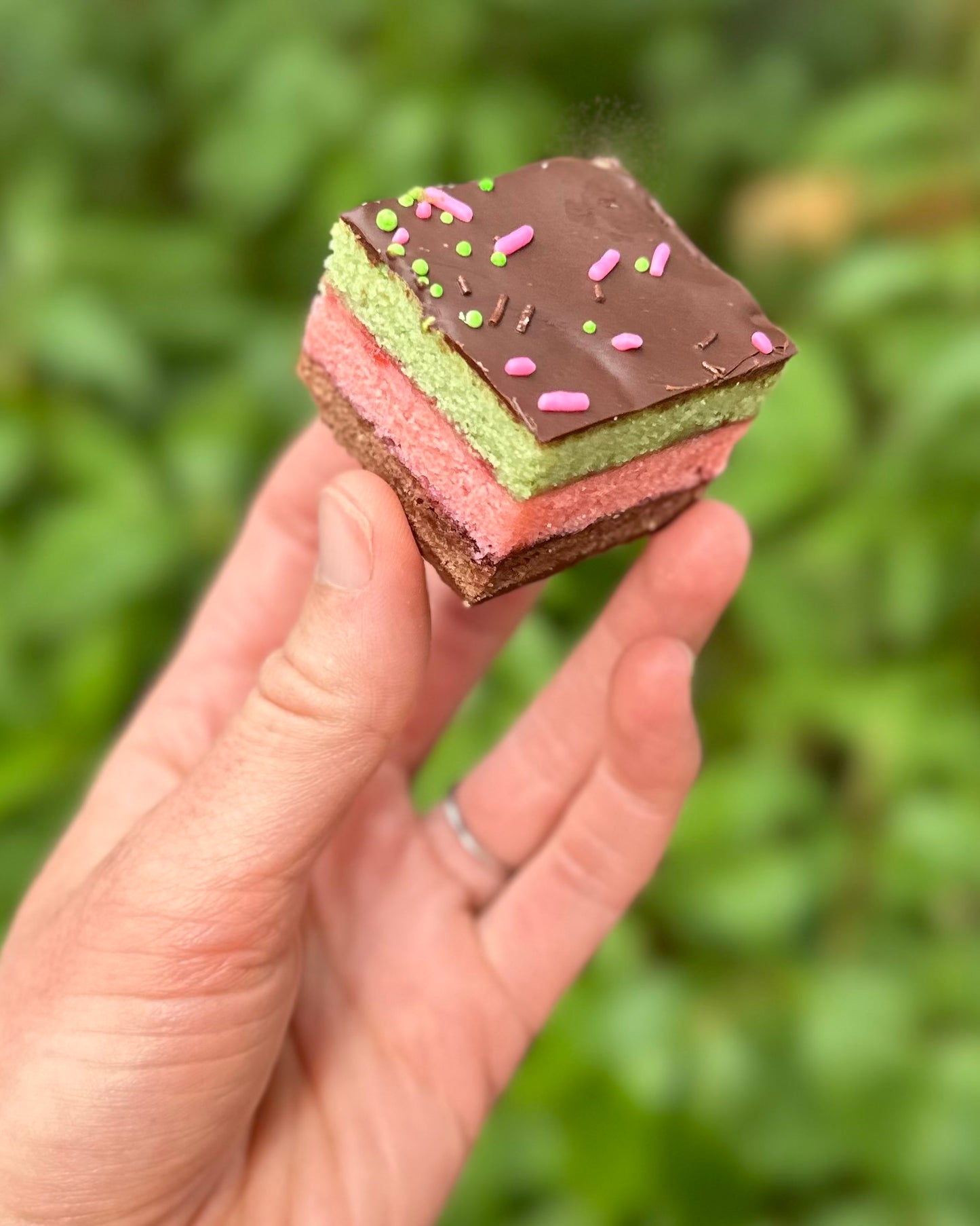 SPECIAL ORDER - SUMMER SEASONAL - SPUMONI RAINBOW COOKIES - ONE DOZEN