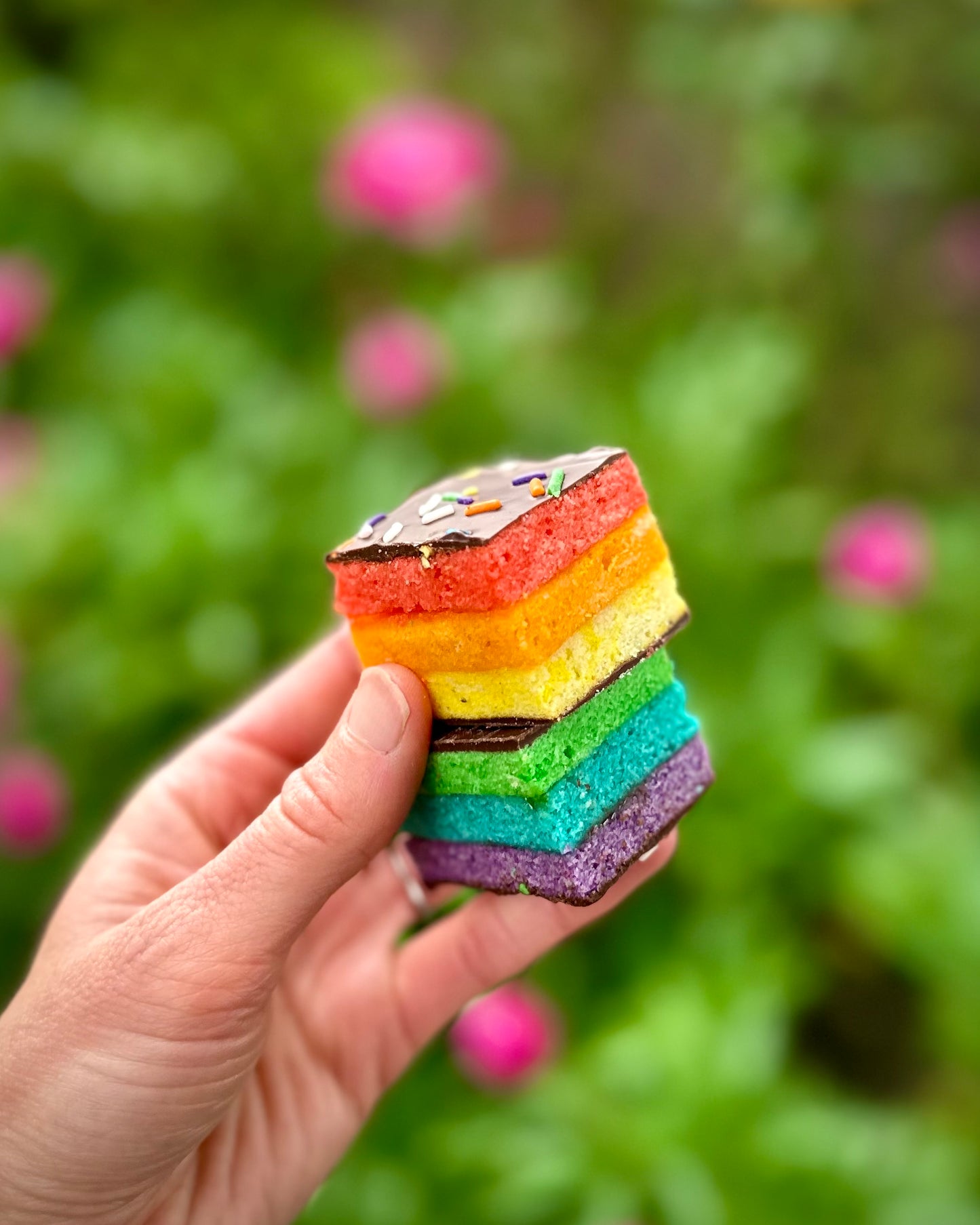 JUNE SPECIAL - PRIDE RAINBOW COOKIES - ONE DOZEN